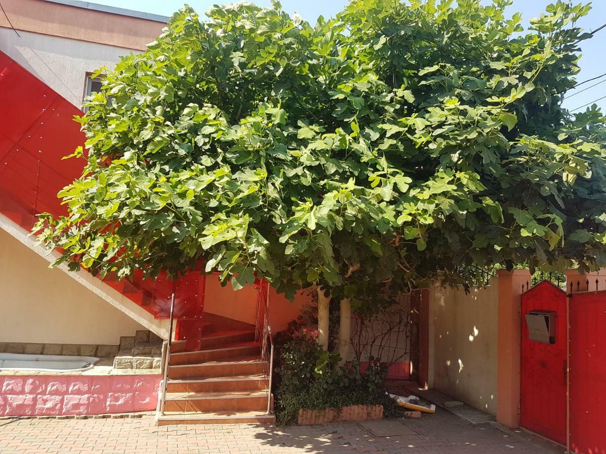 Pensiunea Victoria Mangalia Exterior foto